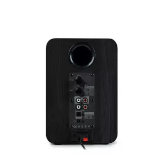 Thomson- Ensemble de 2 Enceintes Sans fil - WS600DUO